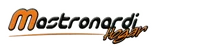 Logo Mastronardi