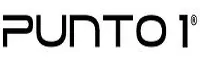 Logo Punto 1