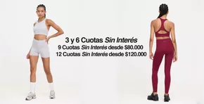 Catálogo Basset en La Plata | Promoción! | 2025-03-11T00:00:00.000Z - 2025-03-31T00:00:00.000Z
