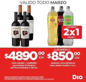 Catálogo Supermercados DIA en Concordia | Gran variedad de ofertas | 2025-03-01T00:00:00.000Z - 2025-03-31T00:00:00.000Z