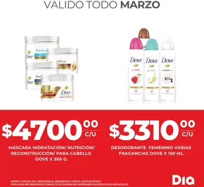 Catálogo Supermercados DIA en Buenos Aires | Ofertas especiales para ti | 2025-03-01T00:00:00.000Z - 2025-03-31T00:00:00.000Z