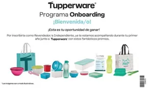Catálogo Tupperware | Gran variedad de ofertas | 2025-05-01T00:00:00.000Z - 2025-07-31T00:00:00.000Z