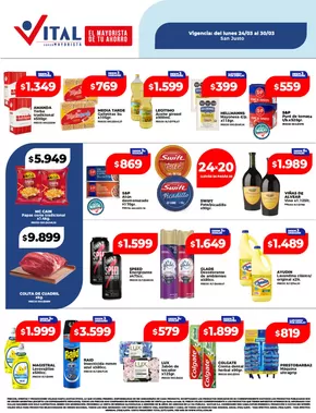 Catálogo Supermayorista Vital en Recoleta | Promociones actuales | 2025-03-24T00:00:00.000Z - 2025-03-30T00:00:00.000Z