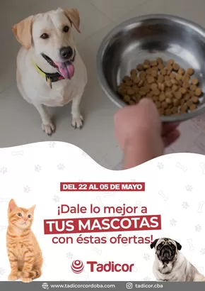 Catálogo Supermercados Tadicor en Córdoba | Grandes descuentos en productos seleccionados | 2025-04-25T00:00:00.000Z - 2025-05-09T00:00:00.000Z