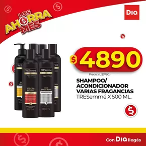 Catálogo Supermercados DIA en Recoleta | Ofertas especiales atractivas para todos | 2025-04-30T00:00:00.000Z - 2025-05-14T00:00:00.000Z