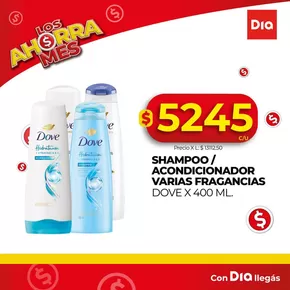 Catálogo Supermercados DIA en Corrientes | Ofertas Supermercados DIA | 2025-05-06T00:00:00.000Z - 2025-05-20T00:00:00.000Z