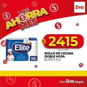 Catálogo Supermercados DIA en Paraná | Ofertas Supermercados DIA | 2025-06-03T00:00:00.000Z - 2025-06-17T00:00:00.000Z