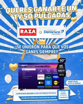 Catálogo Supermercados Damesco en Salta | Ofertas principales y descuentos | 2025-06-04T00:00:00.000Z - 2025-06-29T00:00:00.000Z