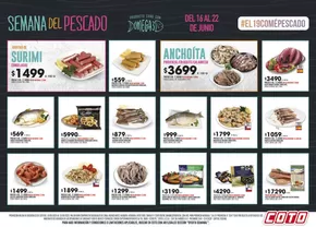 Catálogo Coto en Maipú (Mendoza) | Coto pesca | 2025-06-16T00:00:00.000Z - 2025-06-22T00:00:00.000Z