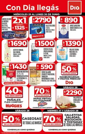 Catálogo Supermercados DIA en Microcentro | Catálogo Supermercados DIA | 2025-06-25T00:00:00.000Z - 2025-06-30T00:00:00.000Z