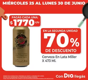 Catálogo Supermercados DIA en Buenos Aires | Nuestras mejores ofertas para ti | 2025-06-25T00:00:00.000Z - 2025-06-30T00:00:00.000Z