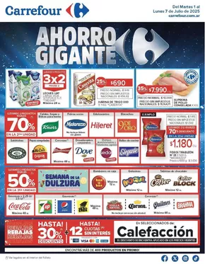 Catálogo Carrefour | Gran variedad de ofertas | 2025-07-01T00:00:00.000Z - 2025-07-08T00:00:00.000Z